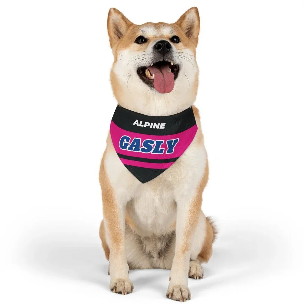 Pierre Gasly F1 Dog Bandana Medium - Formula 1 Dog Collar